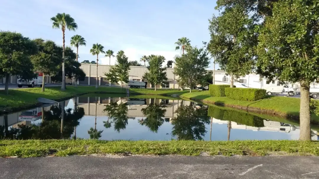 Pond